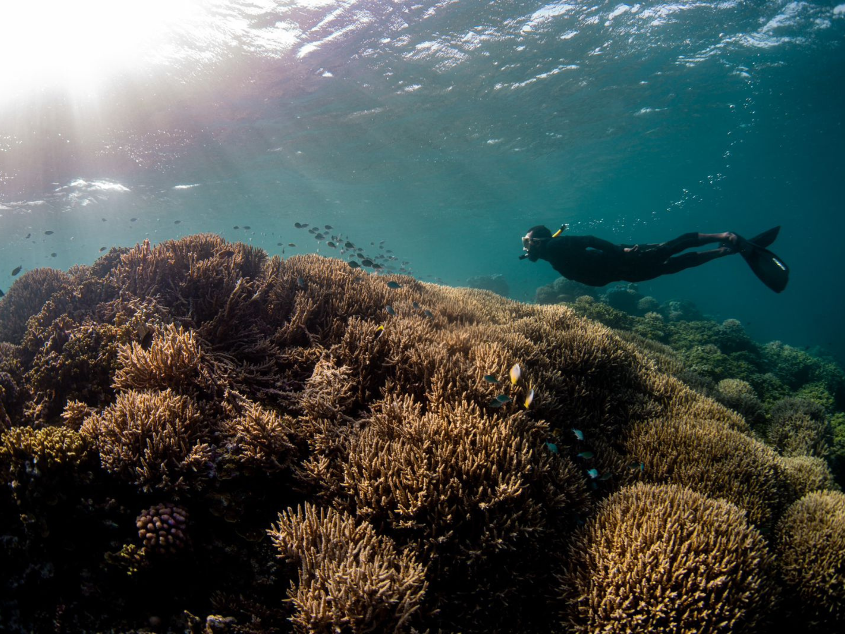 Contact SDM Ventures